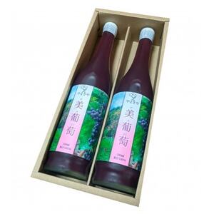 美葡萄 山ぶどうジュース 500ml×2本【1590326】