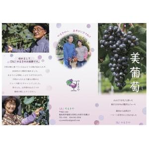 美葡萄 山ぶどうジュース 500ml×2本【1590326】