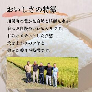 川俣町産 コシヒカリ 10kg 精米【1682414】