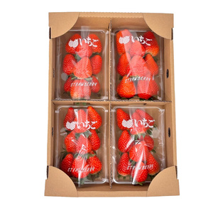 スマイルファーム オススメいちごの4種の豪華 食べ比べ セット 約1kg  FAF-0037