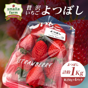 スマイルファーム 贅沢いちご よつぼし 約1kg  FAF-0038