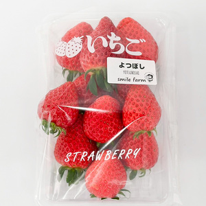 スマイルファーム 贅沢いちご よつぼし 約1kg  FAF-0038