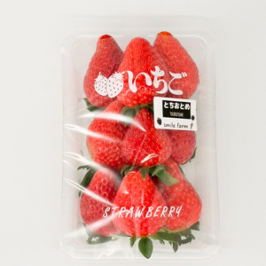 スマイルファーム 大きくジューシーないちご とちおとめ 約1kg  FAF-0039