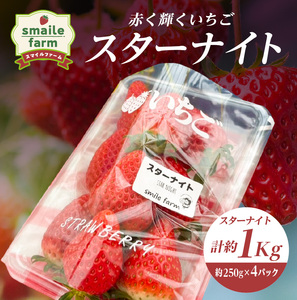 スマイルファーム 赤く輝くいちご スターナイト 約1kg  FAF-0040