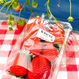 スマイルファーム やめられない止まらないいちご もういっこ 約1kg  FAF-0041