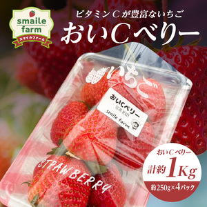 スマイルファーム ビタミンCが豊富ないちご おいCべりー 約1kg  FAF-0042