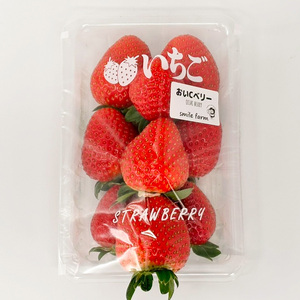 スマイルファーム ビタミンCが豊富ないちご おいCべりー 約1kg  FAF-0042