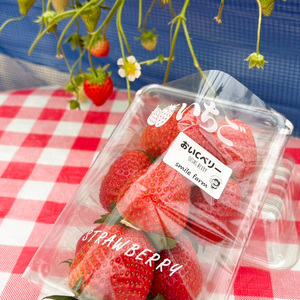 スマイルファーム ビタミンCが豊富ないちご おいCべりー 約1kg  FAF-0042