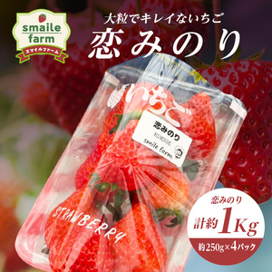 スマイルファーム 大粒でキレイないちご 恋みのり 約1kg  FAF-0043