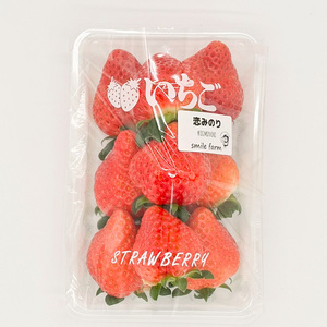 スマイルファーム 大粒でキレイないちご 恋みのり 約1kg  FAF-0043