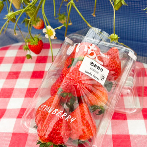 スマイルファーム 大粒でキレイないちご 恋みのり 約1kg  FAF-0043