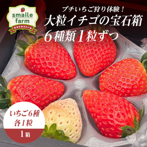 プチいちご狩り体験！大粒イチゴの宝石箱 6種類1粒ずつ  FAF-0045