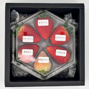 プチいちご狩り体験！大粒イチゴの宝石箱 6種類1粒ずつ  FAF-0045