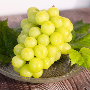 【先行予約】川俣町産 ぶどう シャインマスカット 1房 約500g以上  FAF-0065