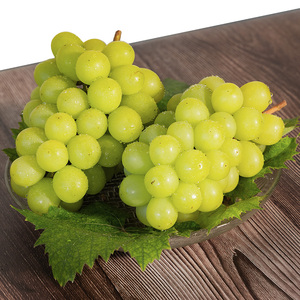 【先行予約】川俣町産 シャインマスカット 2房 約1kg以上  FAF-0061