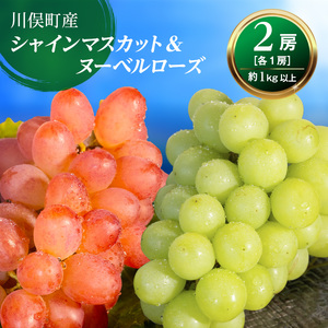 【先行予約】川俣町産 シャインマスカット&ヌーベルローズ 約1kg以上  FAF-0062