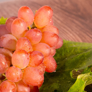 【先行予約】川俣町産 シャインマスカット&ヌーベルローズ 約1kg以上  FAF-0062