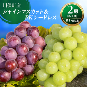 【先行予約】川俣町産 シャインマスカット&BKシードレス 約1kg以上  FAF-0063