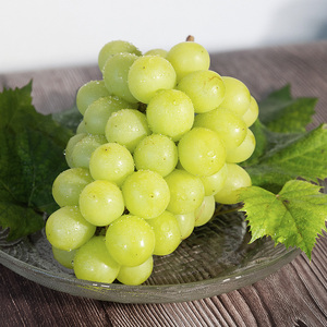 【先行予約】川俣町産 シャインマスカット&BKシードレス 約1kg以上  FAF-0063