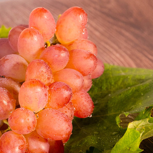 【先行予約】川俣町産 BKシードレス&ヌーベルローズ 約1kg以上  FAF-0064