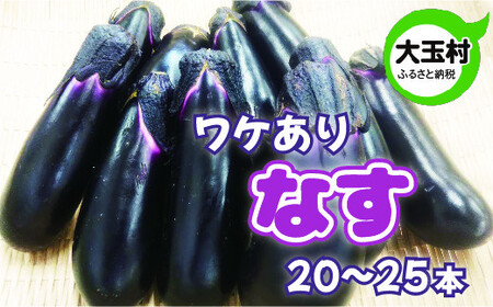 ナス 訳あり 野菜 20本～25本 もったいない野菜 数量限定 ｜ SDGs フードロス 食品ロス 規格外 不揃い 家庭用 なす 期間限定 夏野菜 新鮮 旬 5000円 ５０００円以下 産地直送 大玉村 福島