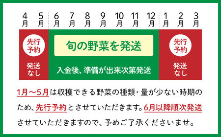 野菜 詰め合わせ セット (10種類前後) おまかせ お試し 旬の野菜 ｜ 野菜セット SDGs 5000円 ５０００円以下 採れたて 新鮮 BBQ バーベキュー アウトドア キャンプ 旬 グルメ 農家 直送 トマト 玉ねぎ ナス きゅうり お野菜 福島 大玉村