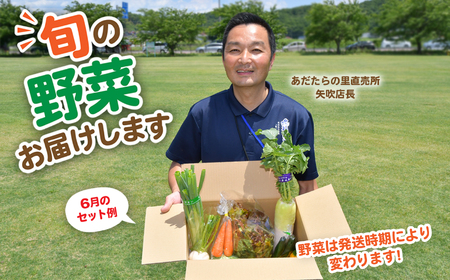 【3回定期便】野菜セット 10種類前後|野菜 福島県 大玉村