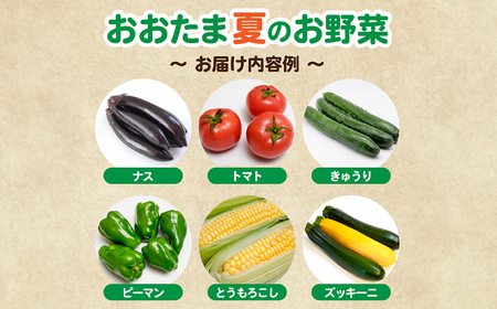 【3回定期便】野菜セット 10種類前後|野菜 福島県 大玉村