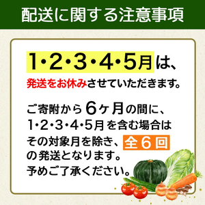 野菜セット【6回定期便】10種類前後 |野菜 福島県 大玉村