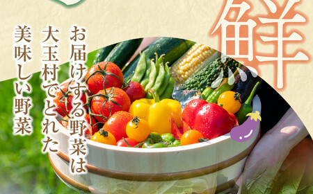 野菜セット【6回定期便】10種類前後 |野菜 福島県 大玉村