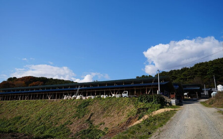 牛肉 あだたら酵母牛サーロイン ステーキ用600g（200g×3枚） 牛肉 牛肉 牛肉