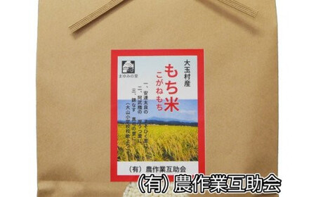 もち米 3kg こがねもち 【 令和7年産 】【 農業生産法人 農作業互助会のお米 】 もち米 もち米 もち米