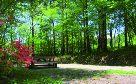 キャンプ フォレストパーク あだたら 利用券 25,000円分 (5,000円分×5枚) キャンプ キャンプ キャンプ