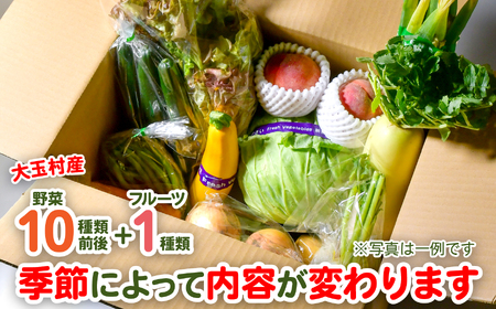 野菜セット 【先行予約】フルーツ入り野菜10種類入り 野菜セット 野菜セット 野菜セット