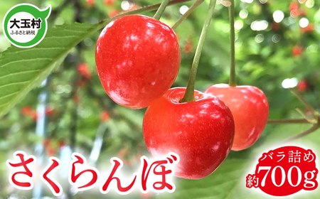 さくらんぼ バラ詰め 700g 《 令和7年 先行予約 》 ※6月上旬以降順次発送 品種おまかせ( 正光錦 / 佐藤錦 等) 福島県 大玉村 産 ｜ サクランボ 旬 果物 果実 くだもの フルーツ 新鮮 ｜ om-sr700-R7 
