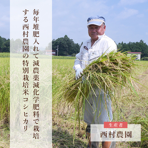 米 5kg コシヒカリ 令和7年  特別栽培米 西村農園 ｜ 福島県 大玉村 お米 令和7年産 2025年産 コメ 精米 白米 こしひかり ｜nm-kh05-R7 ｜ 米 5kg コシヒカリ 特別栽培米 福島 米 5kg コシヒカリ 特別栽培米 福島