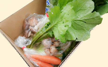 【旬の味覚】大玉村のあったか鍋やさいセット(8品目前後) om-ys-nb-h