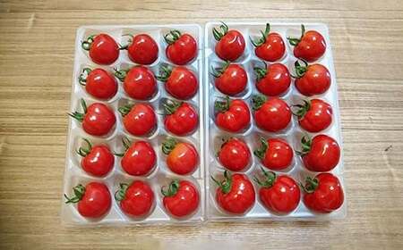 ＜先行予約＞粒の大きさ保証！甘くて柔らか新食感 ミニトマト「ぷちぷよ」30粒入り 野菜 とまと  F6Q-097