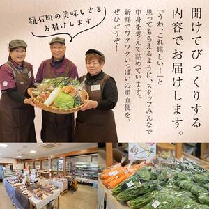 ＼4回届く！季節の定期便／ 鏡石のうまいもの 野菜と果物の詰め合わせ 野菜 果物 フルーツ セット 旬 国産 福島県 鏡石町  F6Q-132