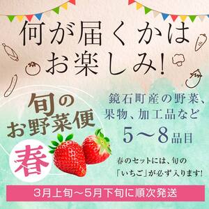＼4回届く！季節の定期便／ 鏡石のうまいもの 野菜と果物の詰め合わせ 野菜 果物 フルーツ セット 旬 国産 福島県 鏡石町  F6Q-132