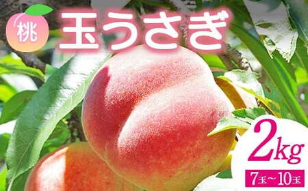 ＜先行予約＞ 福島県産 甘くてジューシー 桃 玉うさぎ 2kg（7玉～10玉） モモ フルーツ 果物 福島県 鏡石町  F6Q-358