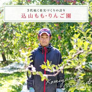 ＜先行予約＞ 福島県産 甘くてジューシー 桃 玉うさぎ 2kg（7玉～10玉） モモ フルーツ 果物 福島県 鏡石町  F6Q-358