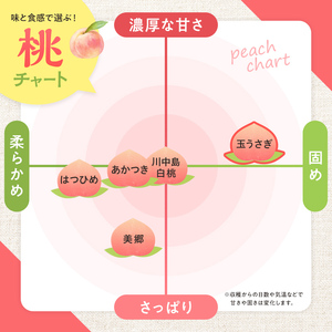＜先行予約＞ 福島県産 甘くてジューシー 桃 玉うさぎ 2kg（7玉～10玉） モモ フルーツ 果物 福島県 鏡石町  F6Q-358