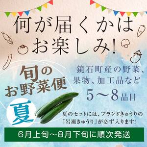 鏡石のうまいもの野菜の直送便（夏）果物 詰め合わせ つめ合わせ セット 福島県 鏡石町  F6Q-134
