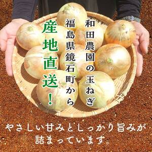 《先行予約》 2026年発送 ＜訳アリ＞ うまみたっぷり！ 不揃い 玉ねぎ 10kg たまねぎ タマネギ 玉葱 野菜 訳あり ワケアリ  F6Q-151