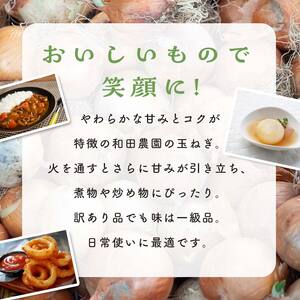 《先行予約》 2026年発送 ＜訳アリ＞ うまみたっぷり！ 不揃い 玉ねぎ 10kg たまねぎ タマネギ 玉葱 野菜 訳あり ワケアリ  F6Q-151