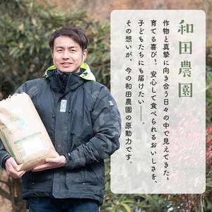 〈先行予約 2026年産米〉【米の定期便】福島県鏡石町産 和田農園「天のつぶ」玄米5kg 3か月連続 F6Q-451