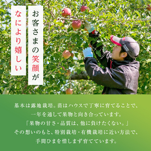 【ふるなびWEEK対象】＜先行予約＞福島県産 甘い りんご ふじ 5kg （12玉～20玉） リンゴ フルーツ 果物 FN-Limited-PR F6Q-289