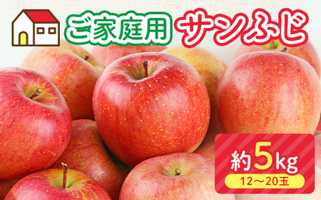 ＜先行予約＞福島県産 家庭用 りんご サンふじ 5kg （12玉～20玉） リンゴ フルーツ 果物 F6Q-291