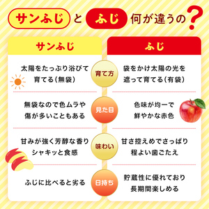 ＜先行予約＞福島県産 家庭用 りんご サンふじ 5kg （12玉～20玉） リンゴ フルーツ 果物 F6Q-291